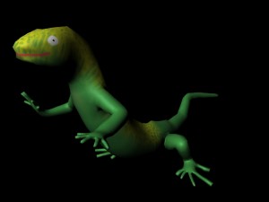 lizard